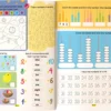 250 Maths Activity Book